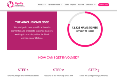Tigerlily Foundation Website Redesign